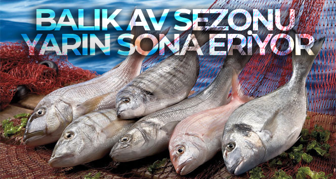 Balık av sezonu yarın sona eriyor
