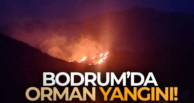 Bodrum’da orman yangını !