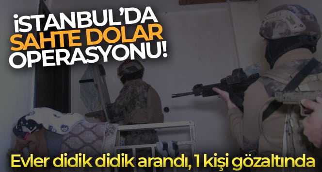 İstanbul’da sahte dolar basan çeteye operasyon