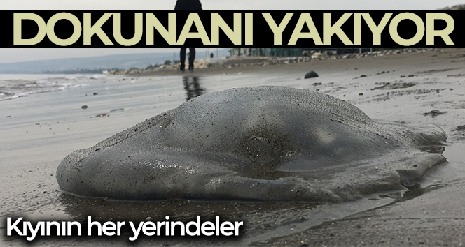 Kıyının her yerinde, dokunanı yakıyor