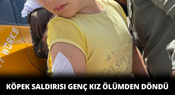 Şarkışla’da sokak köpeklerinin saldırısı sonucu bir kız çocuğu yaralandı!