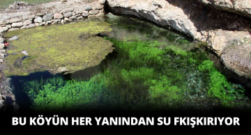 Bu Köyde Her Taşın Altından Su Çıkıyor