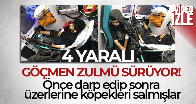 Önce darp edip sonra üzerlerine köpekleri salmışlar: 4 göçmen yaralı