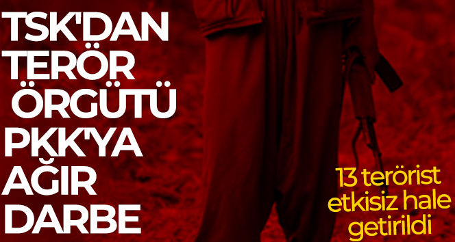 TSK’dan terör örgütü PKK’ya ağır darbe