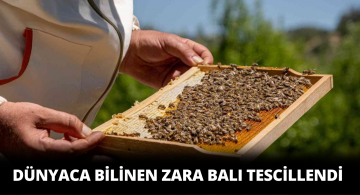 Zara Balı Coğrafi Tescil Belgesi Aldı