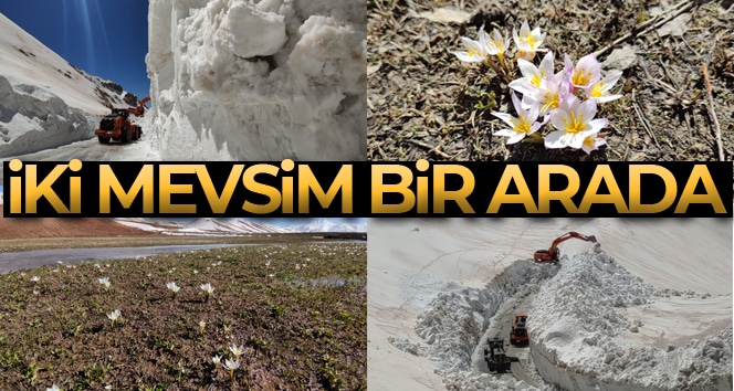 Van’ın iki güzel yüzü, bir taraftan kardelenler açarken, diğer taraftan ise metrelerce kar ile mücadele