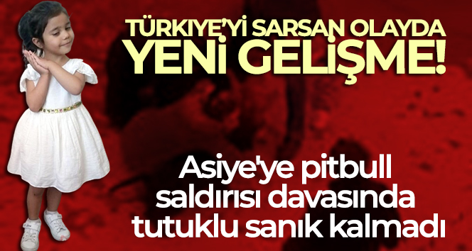 Asiye’ye pitbull saldırısı davasında tutuklu sanık kalmadı