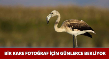 Mimarlık Fakültesi Öğrencisinin Fotoğrafçılık Tutkusu!