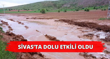 Dolu Tarım Arazilerine Zarar Verdi