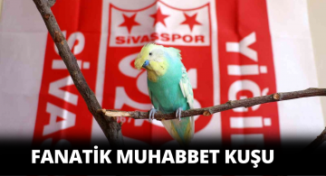 Japon Sivasspor’un Kupasını Türkü Söyleyerek Kutladı