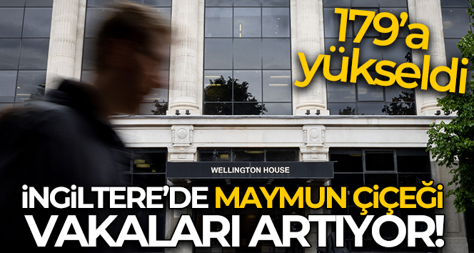 İngiltere’de maymun çiçeği vakaları 179’a yükseldi