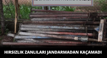 Jandarma Hırsızlık Zanlılarına Fırsat Vermedi!