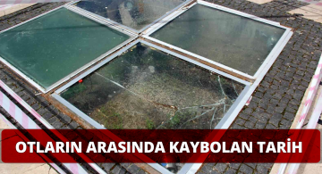 Sivas Kent Merkezindeki Tarihi Kalıntılar Otlarla Kaplandı!