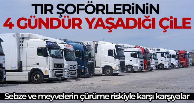 Sebze ve meyve taşıyan tırlar günlerdir Kapıkule’de bekliyor