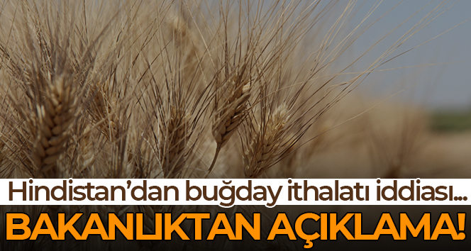 Tarım ve Orman Bakanlığından ‘ithal buğday’ açıklaması