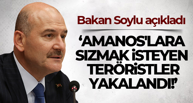 Bakan Soylu: ‘Polisimize karşı girişilen davranışın bedeli ağır olacaktır’