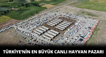 Sivas’taki Hayvan Pazarında Kurban Telaşı