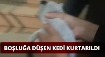 İş Merkezinde Kedi Kurtarma Operasyonu