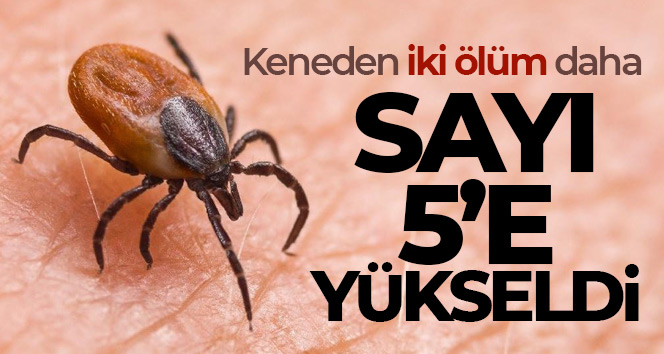 Keneden iki ölüm daha, sayı 5’e yükseldi