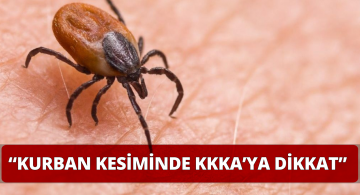 Kurban Kesiminde Uzmanlar Kırım Kongo Kanamalı Ateşi Konusunda Uyardı