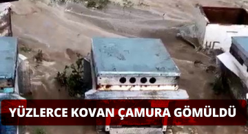 Sel Arı Kovanlarını Çamura Gömdü