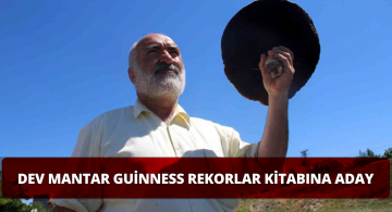 Sivas’taki Dev Mantar Guinness Rekorlar Kitabına Girmeye Hazırlanıyor