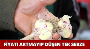 Fiyatı Artmak Yerine Düşen Doğal Antibiyotik Sarımsak