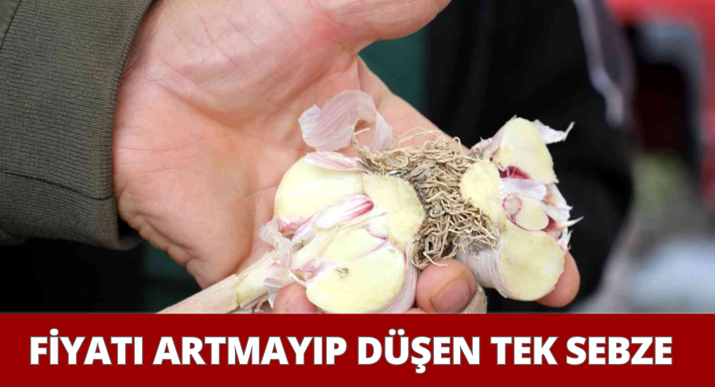 Fiyatı Artmak Yerine Düşen Doğal Antibiyotik Sarımsak