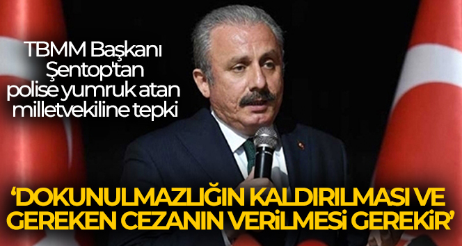 TBMM Başkanı Mustafa Şentop: ‘Dokunulmazlığın kaldırılması ve gereken cezanın verilmesi gerekir’