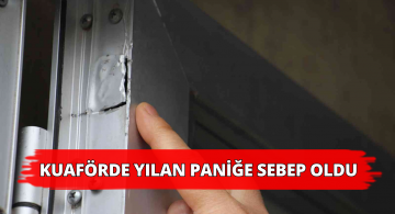 Kuaför Kapısına Giren Yılan İtfaiyede Çıkarıldı