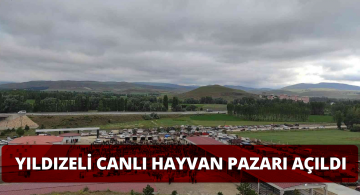 Yıldızeli İlçesinde Canlı Hayvan Pazarı Açıldı