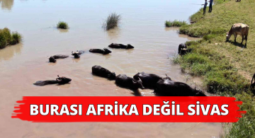 Sivas’ta Afrika Manzaraları!