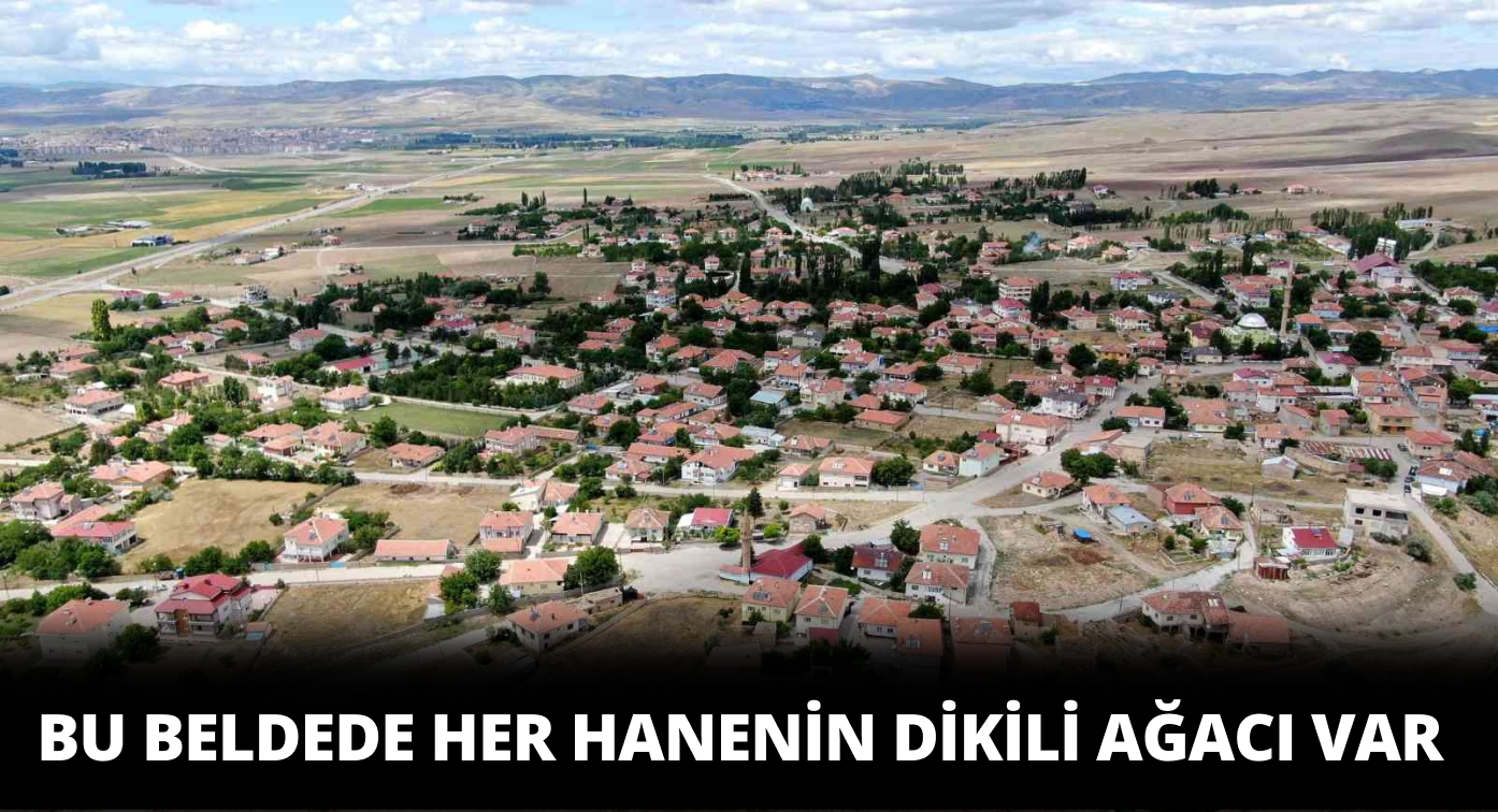 Burada Yaşayan Herkesin Bir Dikili Ağacı Bulunuyor