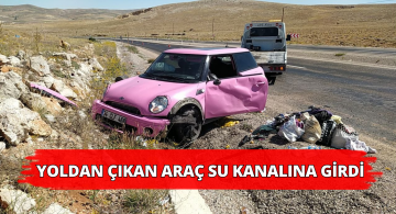 Otomobil Yoldan Çıkıp Su Kanalına Girdi