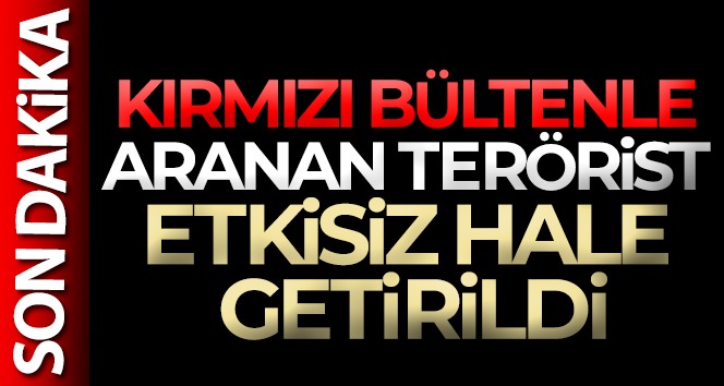 Bakan Soylu duyurdu! Kırmızı bültenle aranan terörist etkisiz hale getirildi