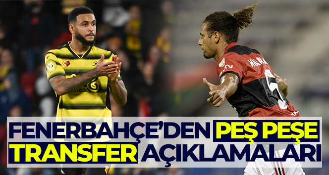 Fenerbahçe transferleri açıkladı!