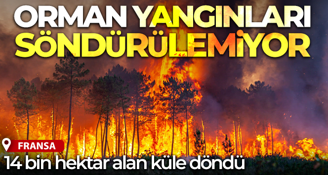 Fransa’daki orman yangınları 6’ıncı gününde