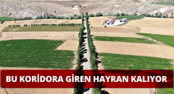 Zara’daki Koridor Görenleri Kendine Hayran Bırakıyor