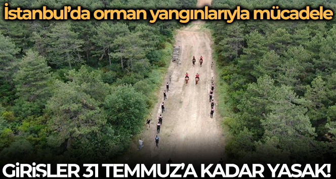 İstanbul’da ormanlık alanlara girişler 31 Temmuz’a kadar yasaklandı