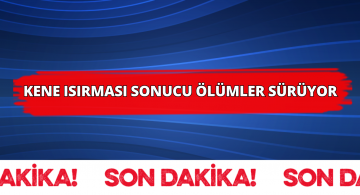 Sivas’ta Kene Isırmasından Bir Kişi Daha Öldü!