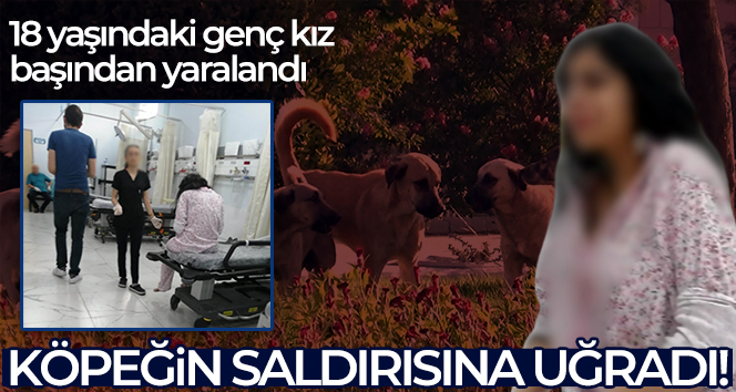 Köpeğin saldırısına uğrayan 18 yaşındaki genç kız başından yaralandı