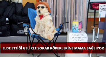 Gözlük ve Şapkalı Evcil Köpek; Arkadaşları İçin Bağış Topluyor!