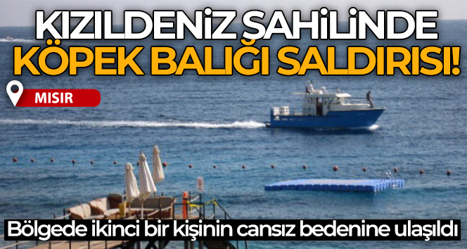 Mısır’ın Kızıldeniz sahilinde köpekbalığı saldırısında 2. ölüm