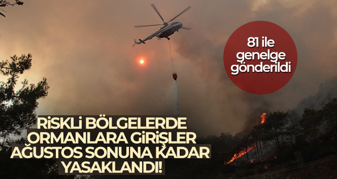 Orman yangını için riskli bölgelere girişler 31 Ağustos’a kadar yasaklandı