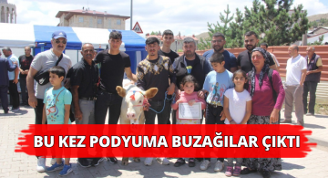 Buzağılar Podyumu Süsledi!