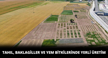 Sivas’ta Yapılan Islah Çalışmaları İle Tohumda Dışa Bağımlılık Sona Erecek