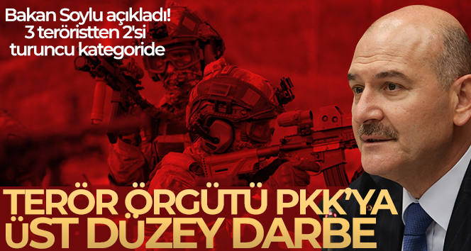 Terör örgütü PKK’ya üst düzey darbe