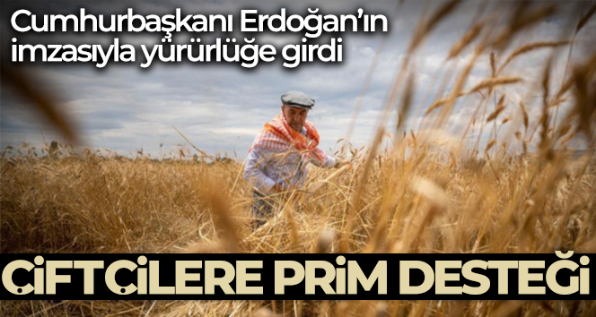 TMO alım pirimi desteğine ilişkin karar Resmi Gazete’de yayımlandı