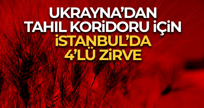 Ukrayna’dan tahıl koridoru için İstanbul’da 4’lü zirve