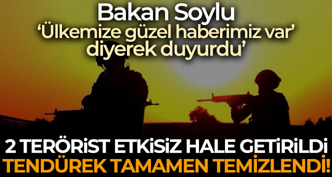 2 terörist etkisiz hale getirildi! Tendürek tertemiz temizlendi